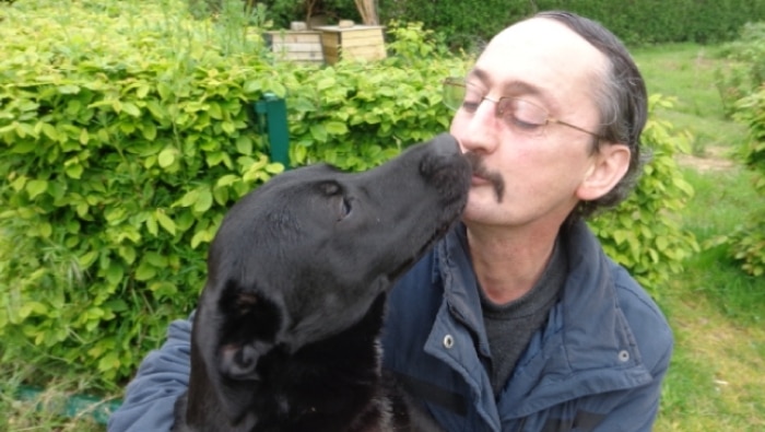 Une Halte accueillante à Brest même avec un chien