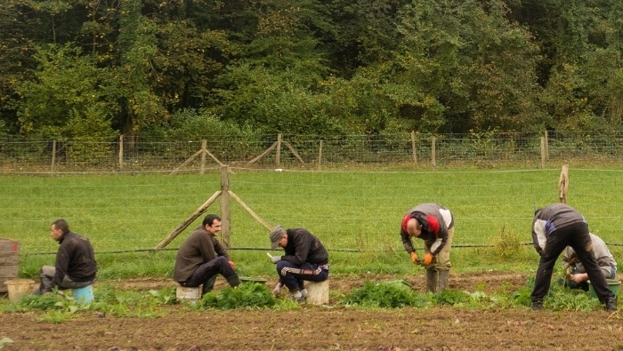 Aménageons la ferme agro-écologique de Tarnos pour accueillir des femmes sous main de justice