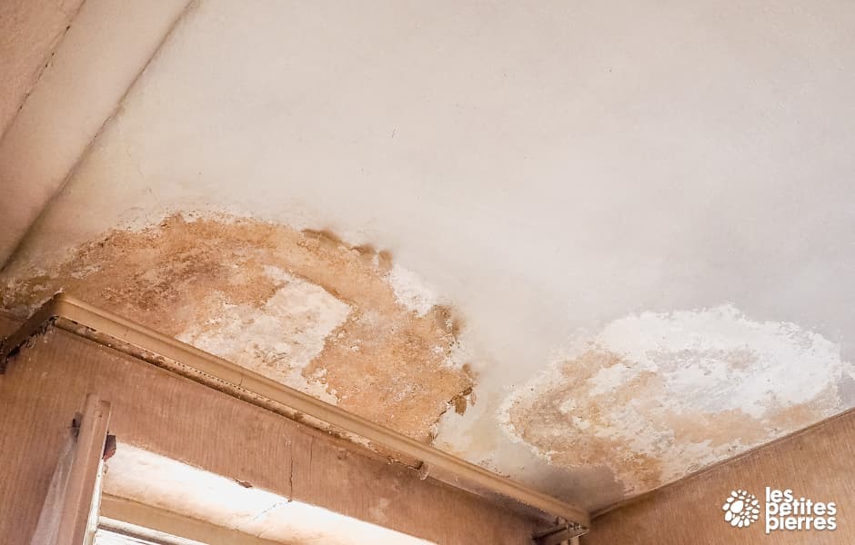 logement humide