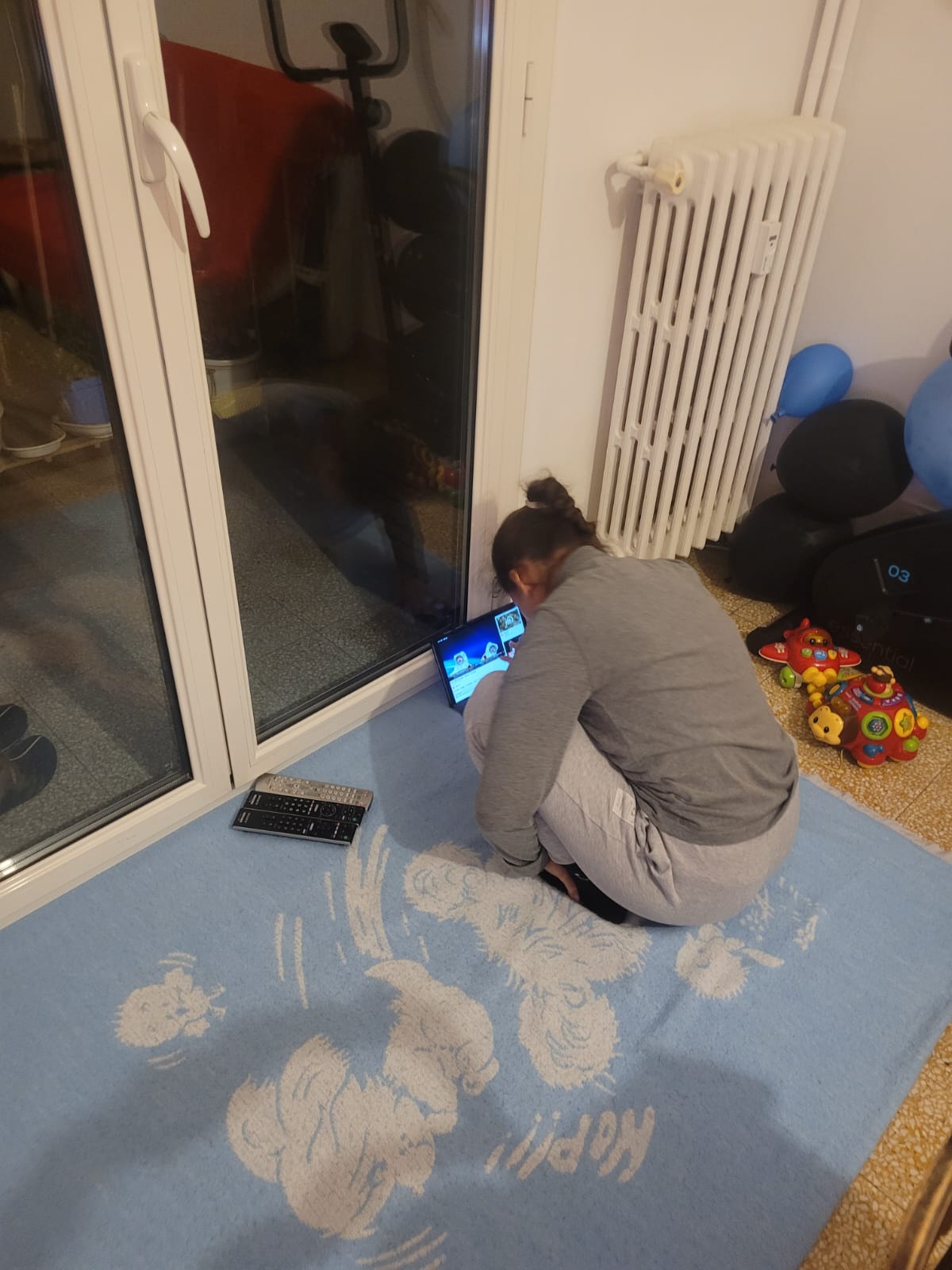 Quel est notre projet ?