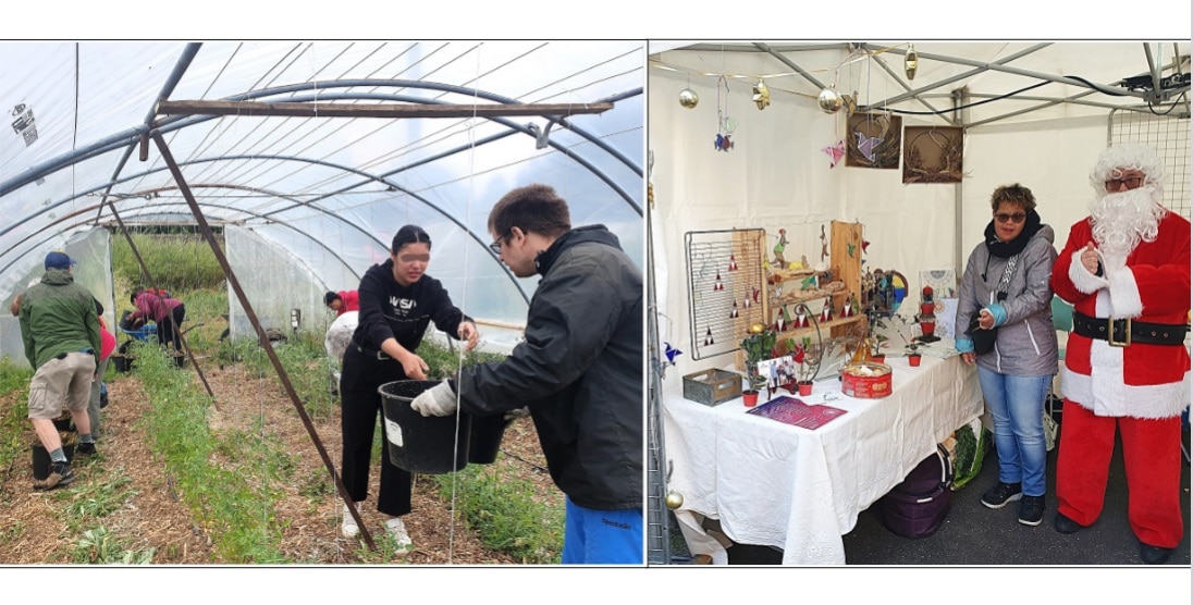 Quel impact pour ce projet ?