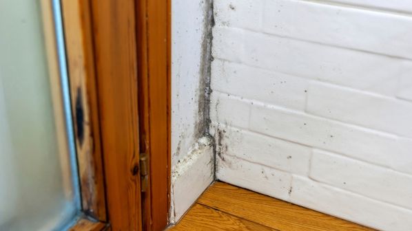 Moisissures sur les murs