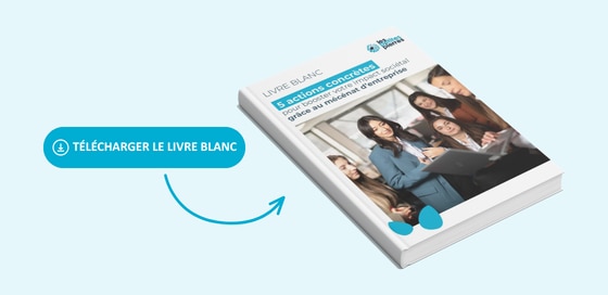 Livre blanc guide du mécénat Les Petites Pierres